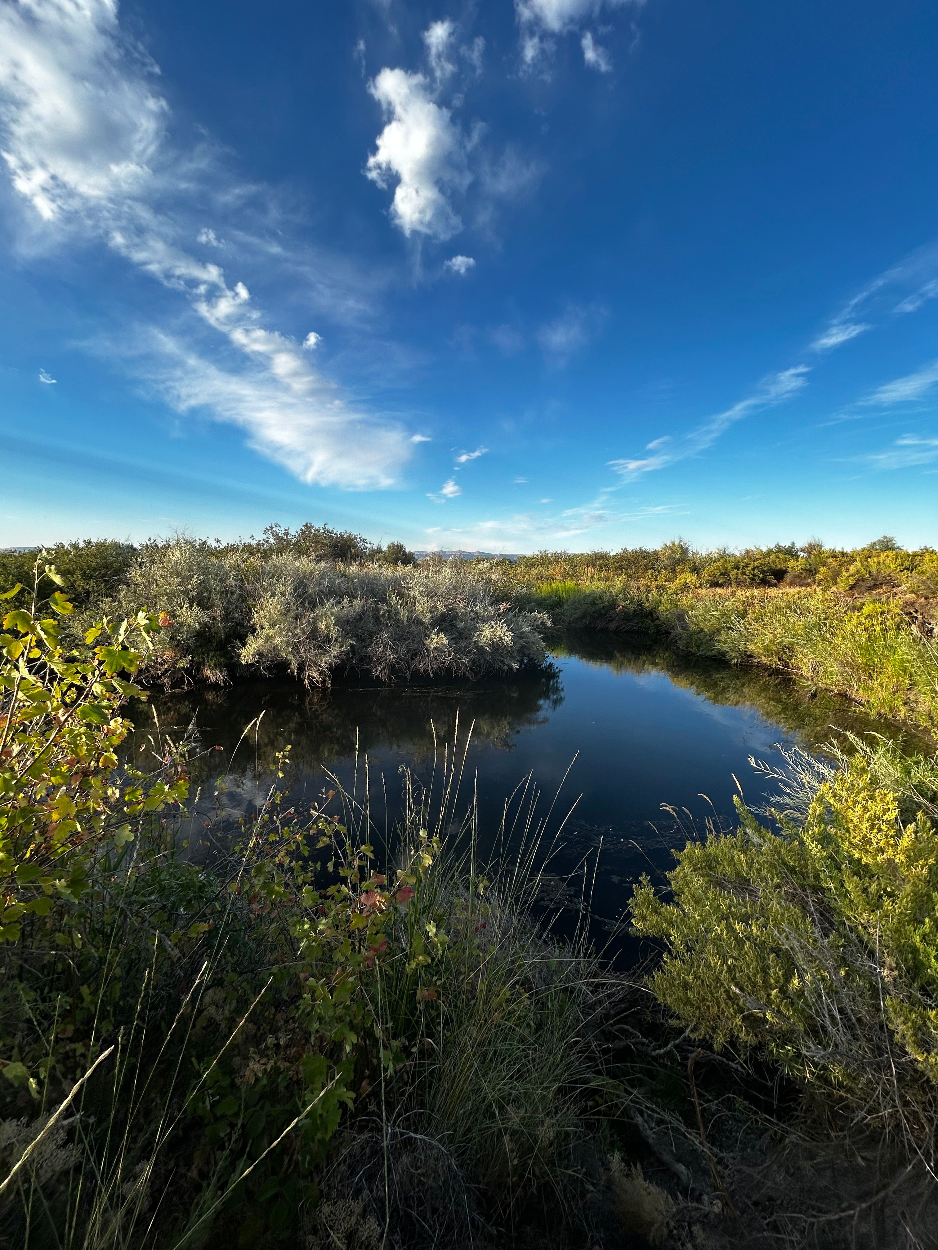 Ash Meadows scenic view 5