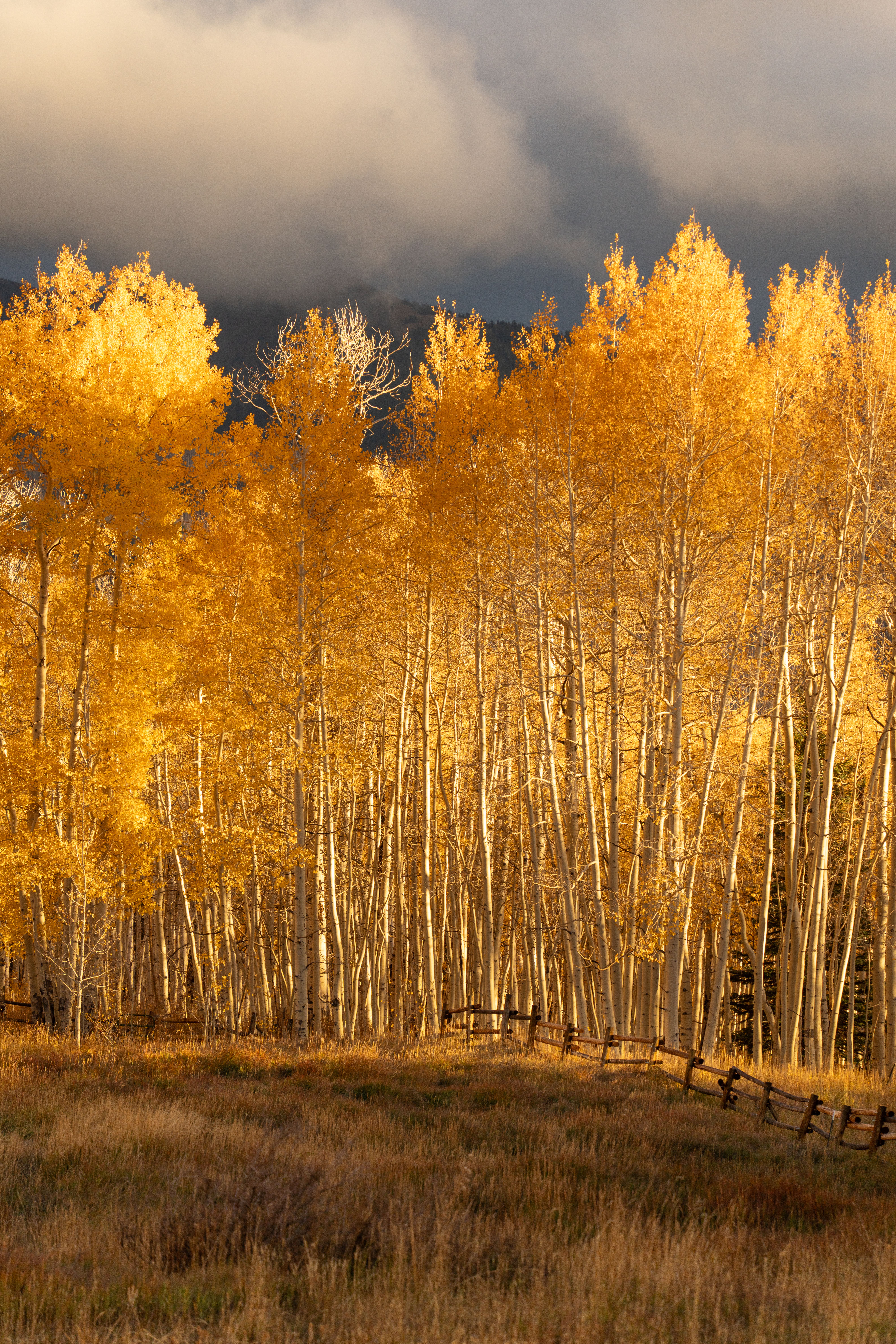 Fish Lake National Forest scenic view 2