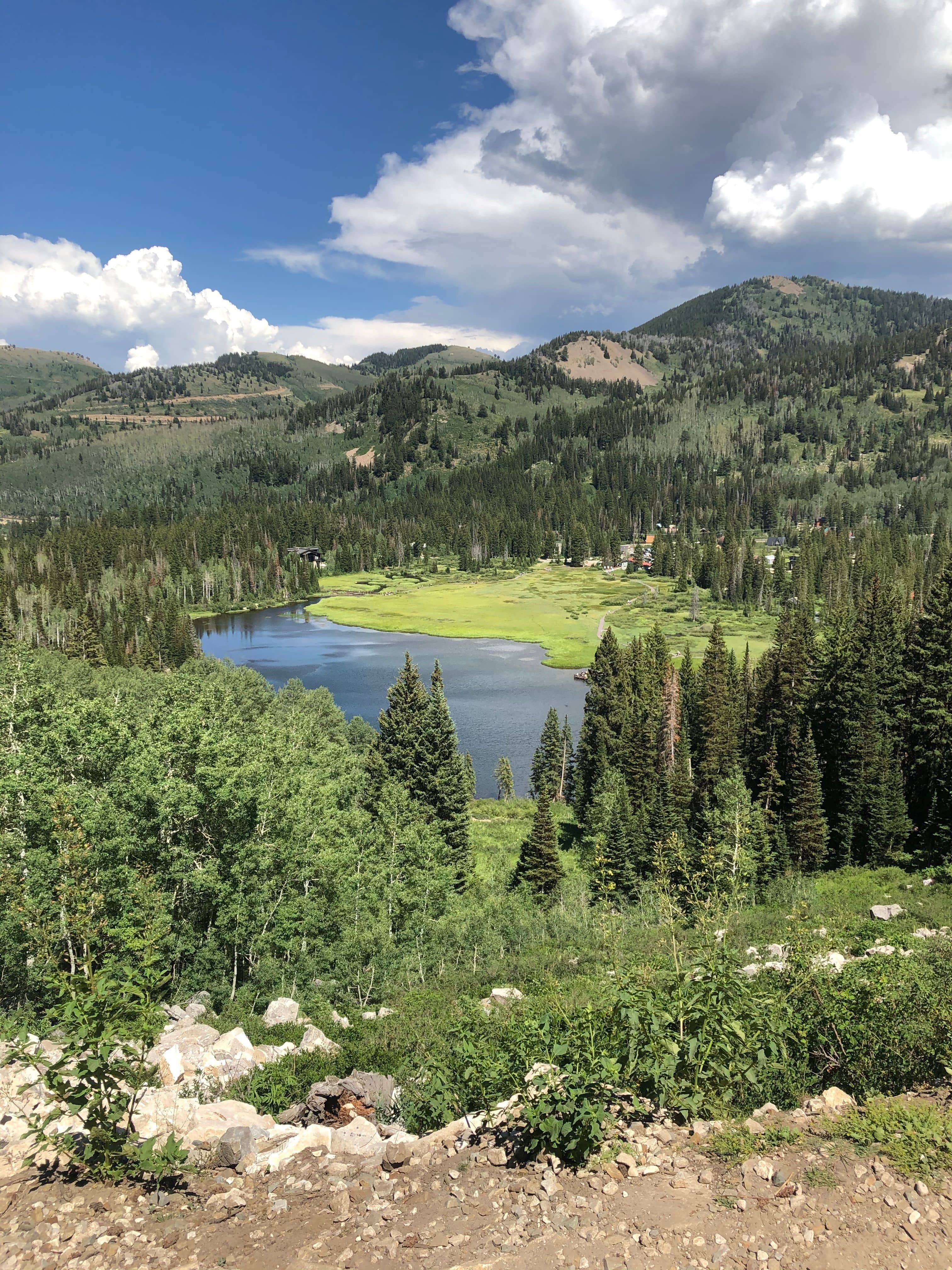 Fish Lake National Forest scenic view 3