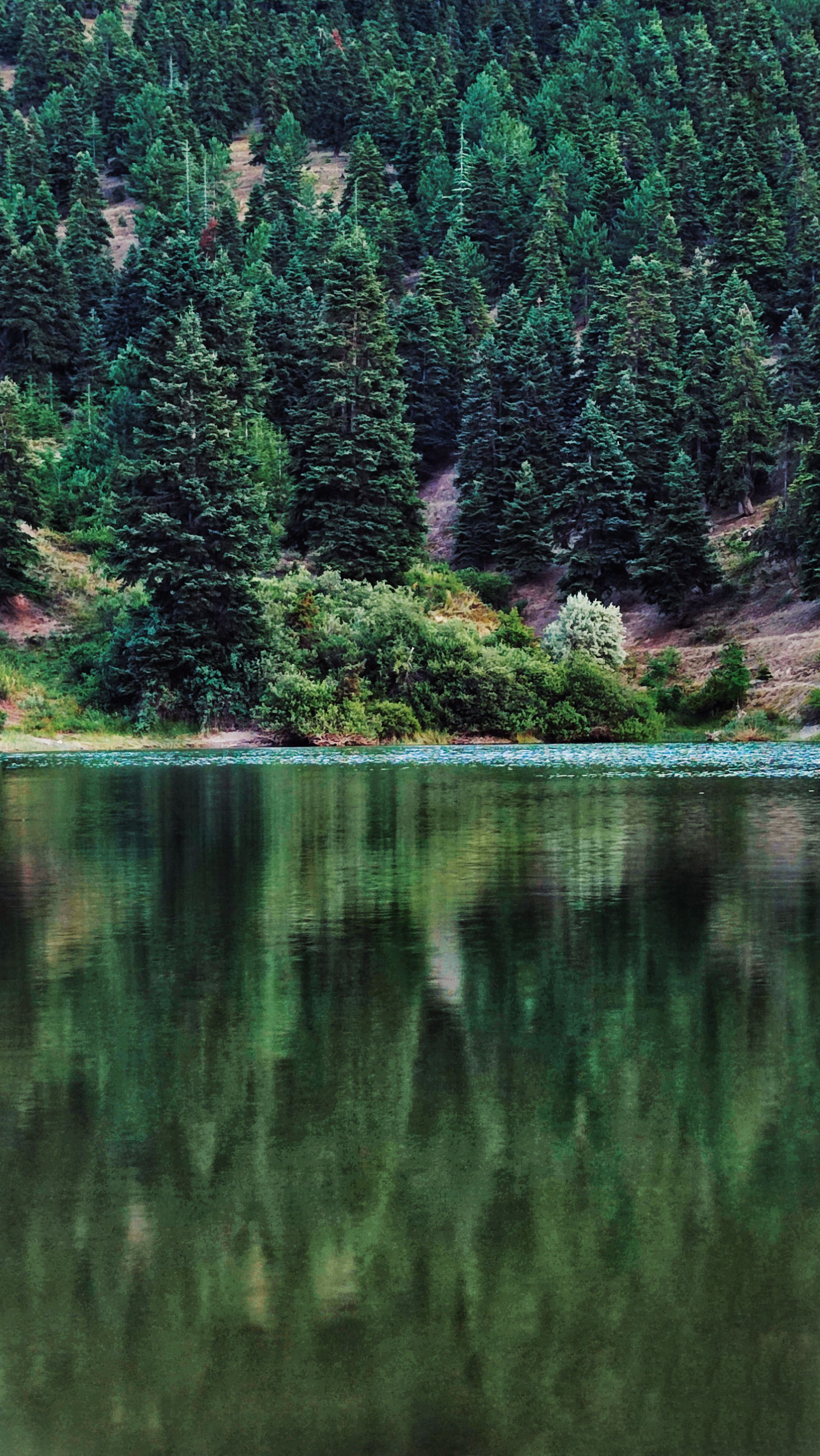 Fish Lake National Forest scenic view 5