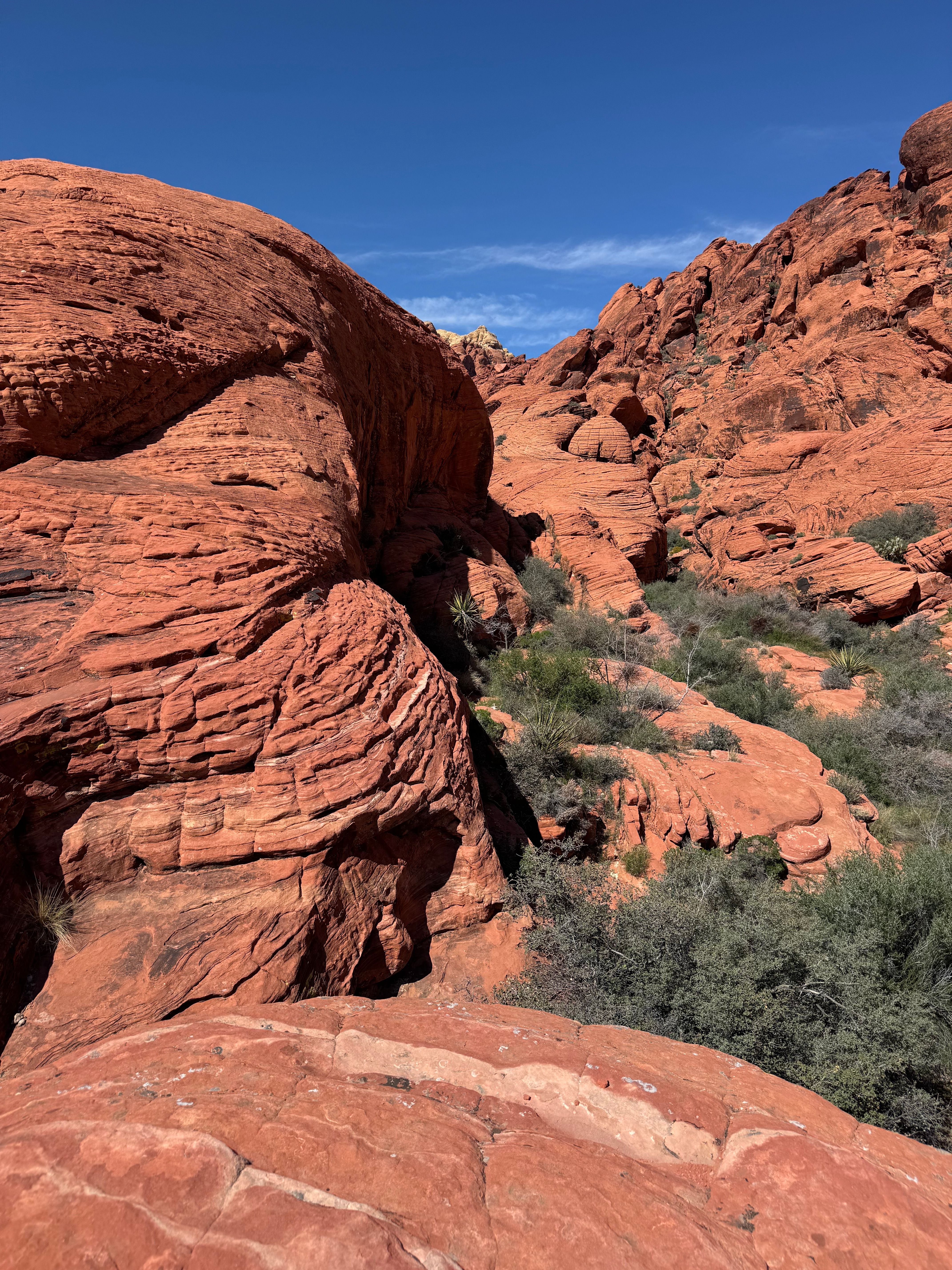 Red Rock Canyon scenic view 4