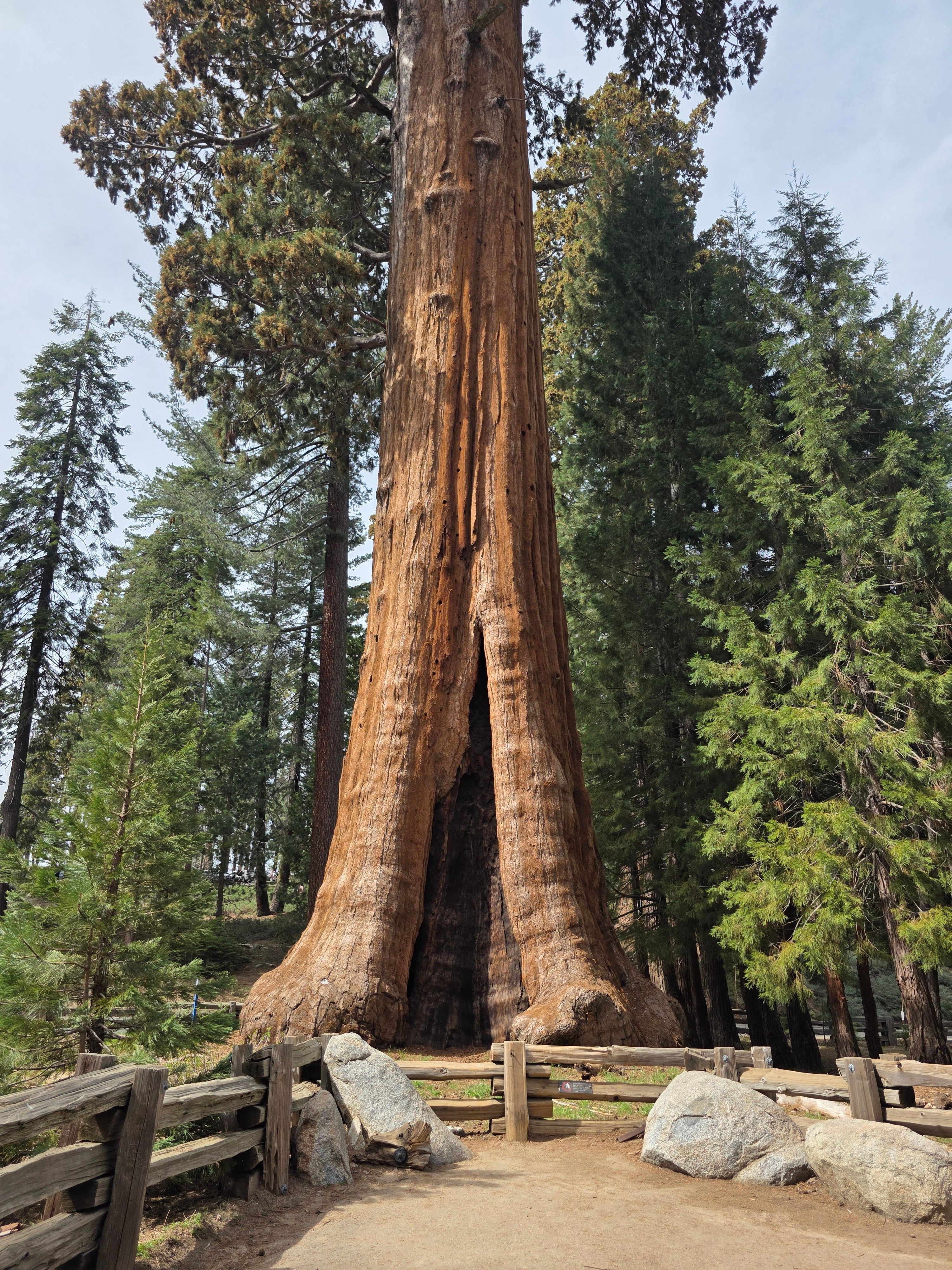 Sequoia National Park scenic view 1